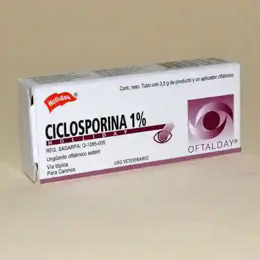 CICLOSPORINA 1% OFTALDAY X 3.5 GR