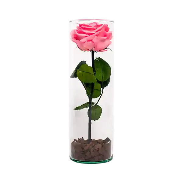 Solitario de Vidrio Con Rosa Rosado