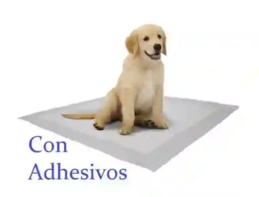 60 Unidades De Tapetes Entrenadores Perro Con Adhesivos