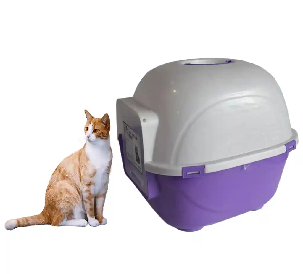 Baño Arenero Gigante Para Gatos Color Morado