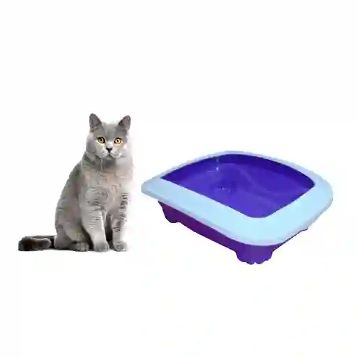 Arenero Grande Para Gatos Tipo Bandeja Morado + Pala