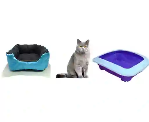 Arenero Grande Para Gatos Tipo Bandeja + Cama + Pala