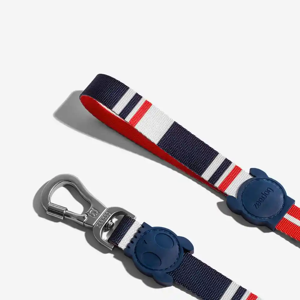 ZEE.DOG LEASH CORREA PARA PERROS REF ROCKET TALLA S