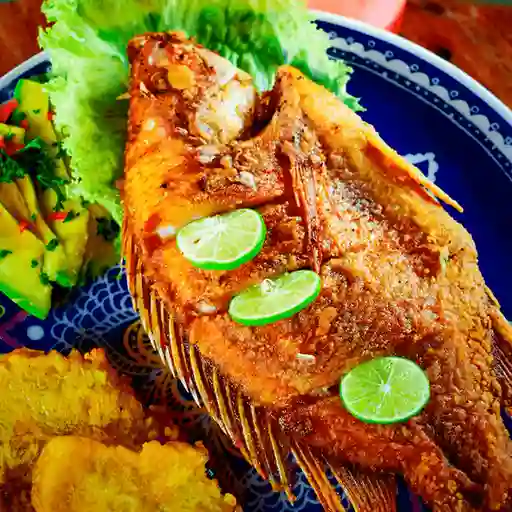 Mojarra Dorada