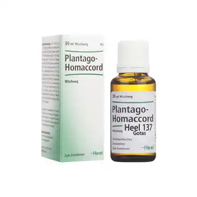 HEEL Plantago Homaccord Gotas X30Ml