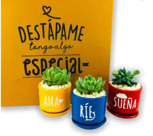 SUEÑA RIE AMA – KIT LOVE piedras blancas