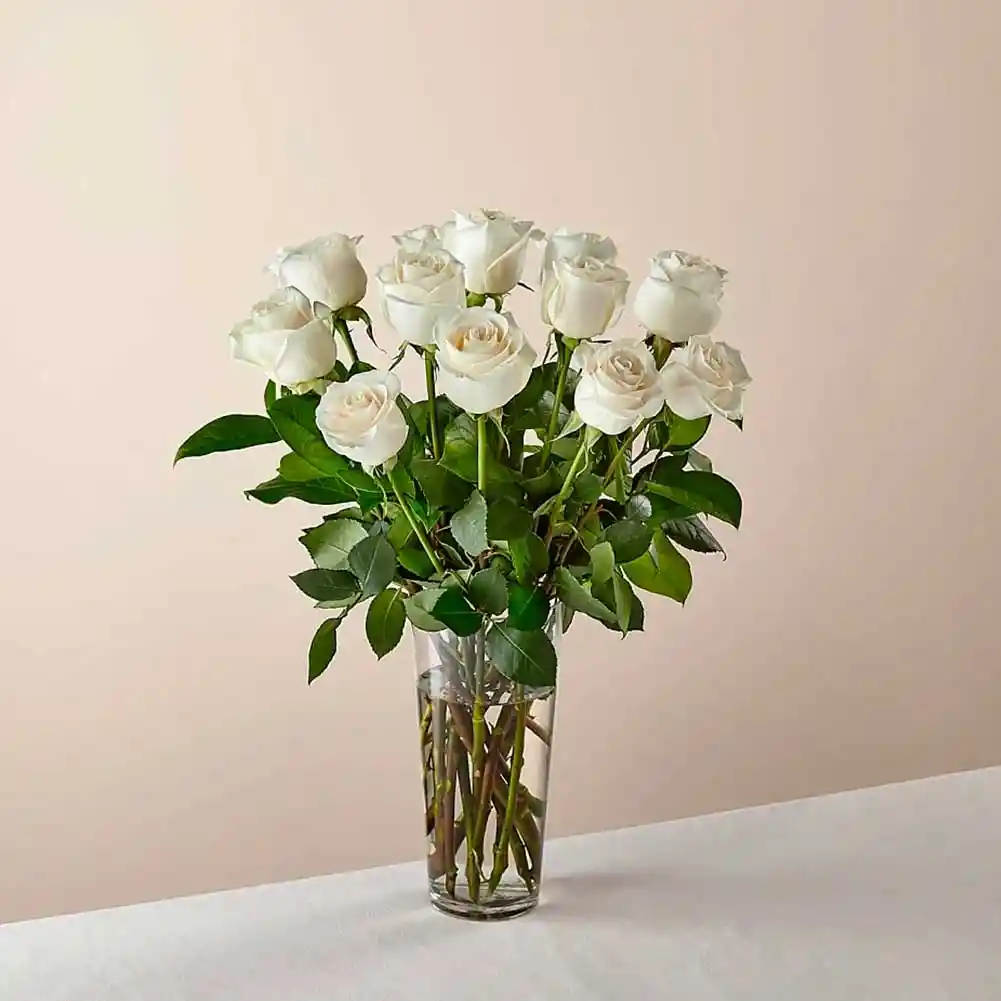 12 Rosas Blancas Tallo Largo + Jarrón Vidrio