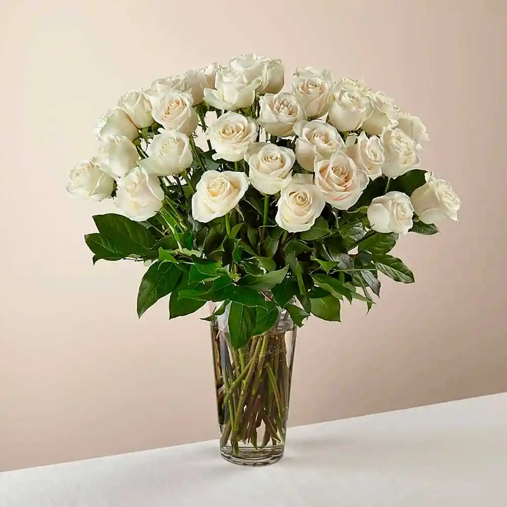 36 Rosas Blancas Tallo Largo + Jarrón Vidrio