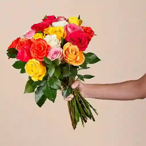 24 Rosas Mixtas Bouquet