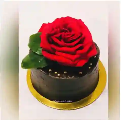 Trufa de chocolate húmeda