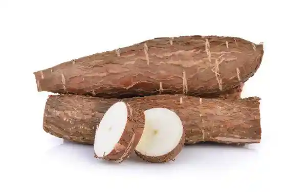 Yuca