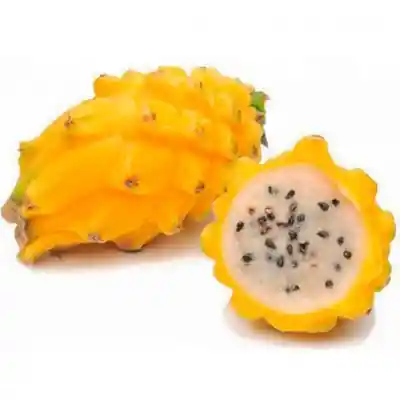 Pitaya