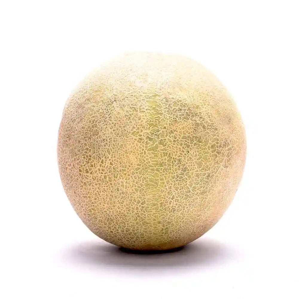 Melón Económico