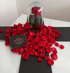 Rosa Preservada Grande En Caja Sorpresa Con Petalos