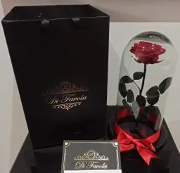 Rosa preservada premium 30 cm roja