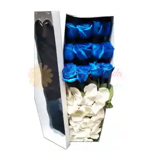 12 rosas azules en caja