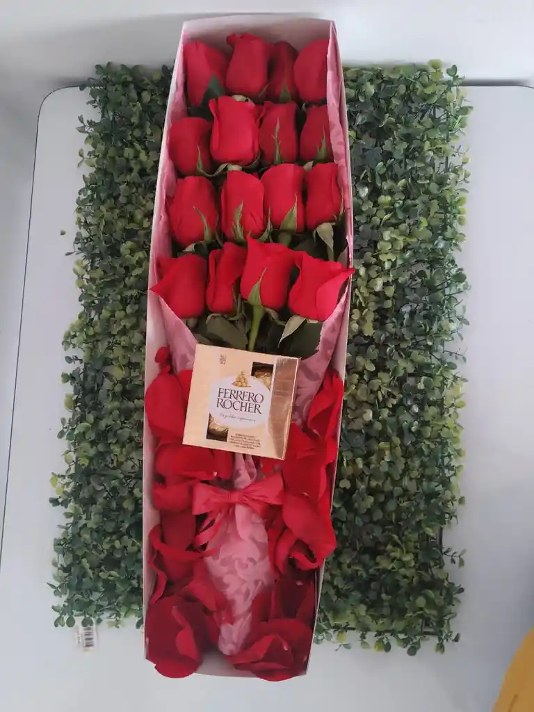 16 rosas rojas en caja + ferrero x4