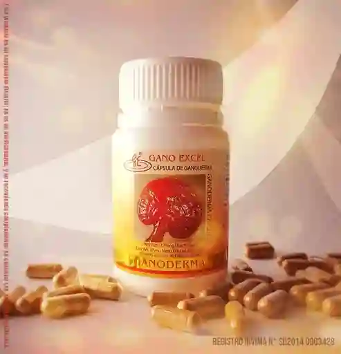 Ganoderma Capsulas Lucidum | Gano Excel