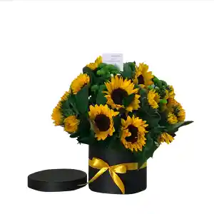 CAJA DE GIRASOLES