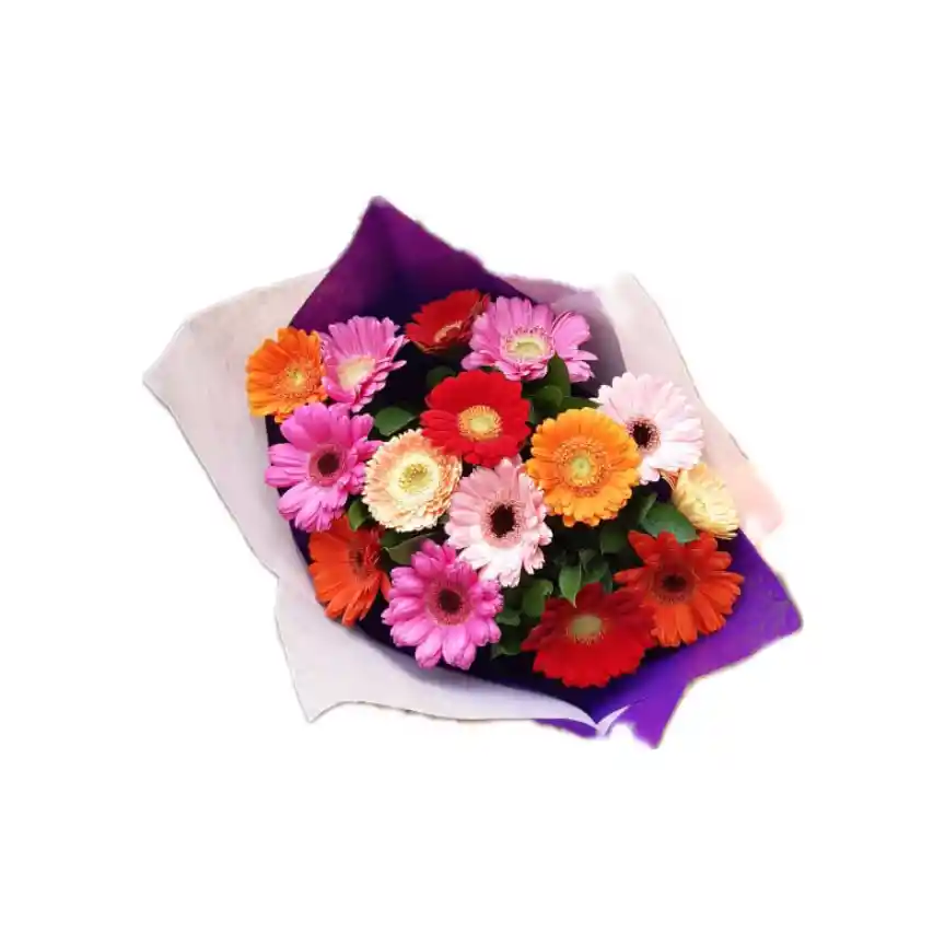 Gerberas... surtidas