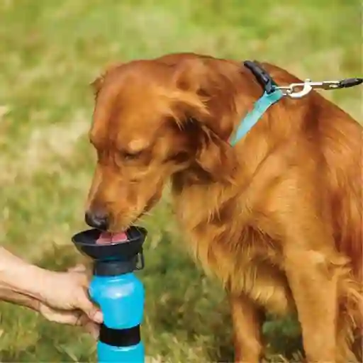 Termo Bebedero Agua Portátil Mascotas Aqua Dog