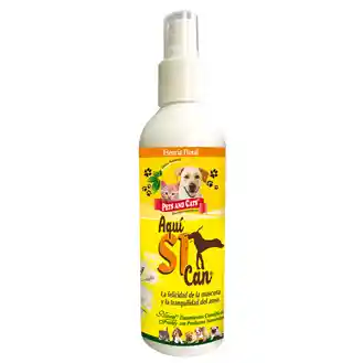 AQUÍ SI CAN X 240 ML.