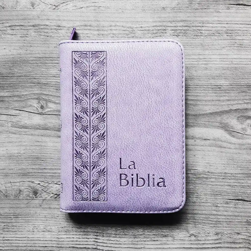 Biblia Traducción En Lenguaje Actual (TLA) Mediana Lila