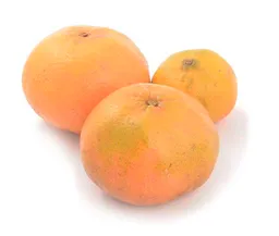 Mandarina Blanca