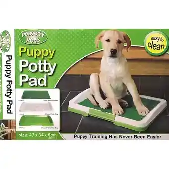 Tapete Entrenamiento Sanitario Para Mascotas Pequeño Puppy Potty