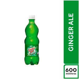 Canada Dry Ginger Ale 600 ml