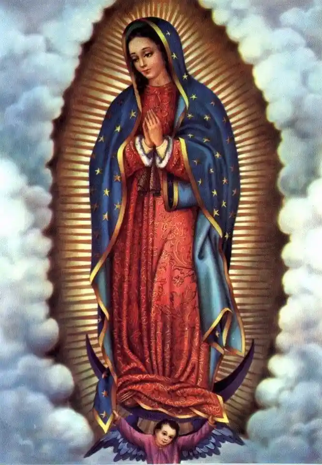 Kit de Diamond Painting, Virgen de Guadalupe