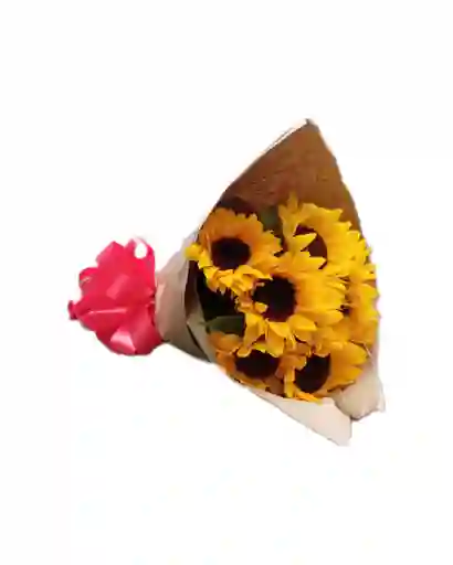 Girasoles x 8