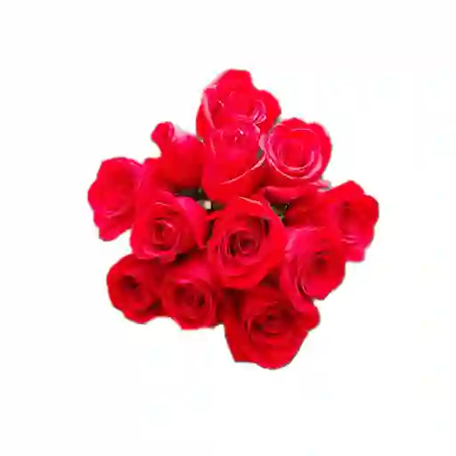 Rosas por 12