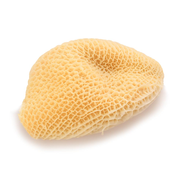 Res Víscera Callo aprox. 700 g