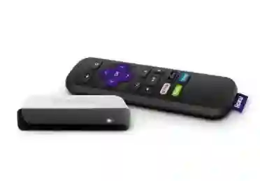 Roku SE 3900 estándar blanco y negro