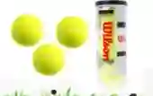 PELOTAS WILSON X 3