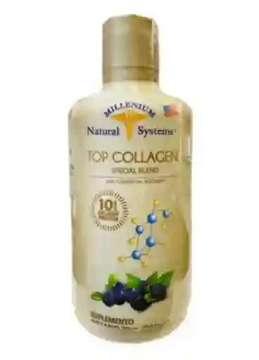 NATURAL SYSTEMS Top Colageno Hidrolizado 960Ml