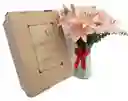 Lirios En Caja De Regalo