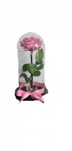 Pik Preserved