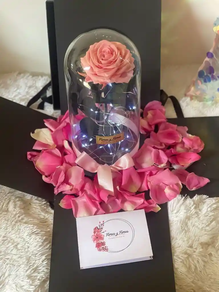 Rosa Rosada Con Luces En Caja De Lujo