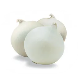 Cebolla Cabezona Blanca EC