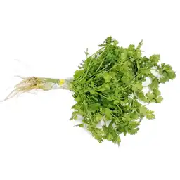  Cilantro Fresca Exito 