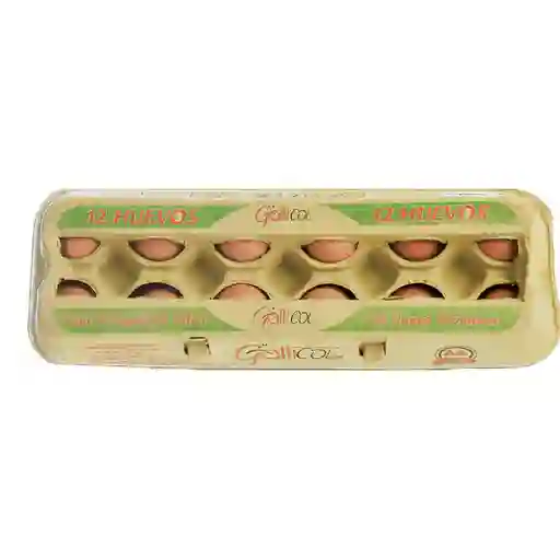 Gallicol Huevos Rojo de Gallina AA