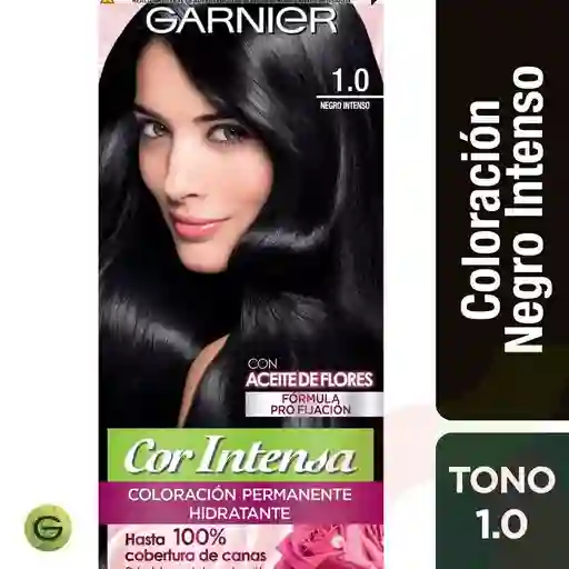 Garnier-Nutrisse Coloración Permanente Tono Negro Intenso