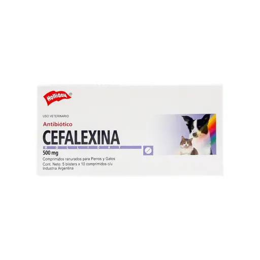 Holliday Cefalexina Antibiótico (500 mg) 