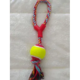 Lazo Juguete Pelota Multicolor