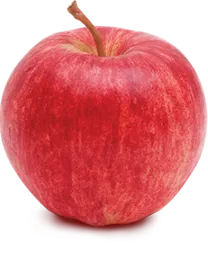 Manzana Gala