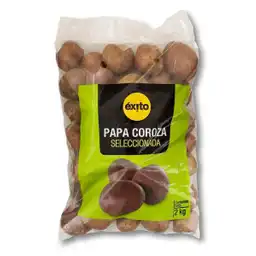 Papa Coroza Seleccionada Éxito