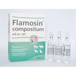 Flamosin Compositum 5 Ampollas X 2.2 mL