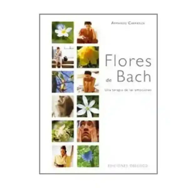 Flores de Bach. Cartone - Armando Carranza